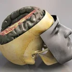 7 Kesalahan Umum yang Bisa Merusak Kesehatan Tengkorak